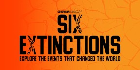 Waikato Museum Six Extinctions Website news thumb
