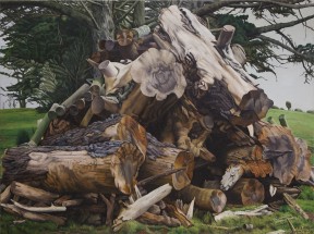 Pile of Stumps L2014 41 1
