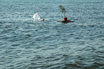 Tree to Sea Ceremony N Wynnychuk 